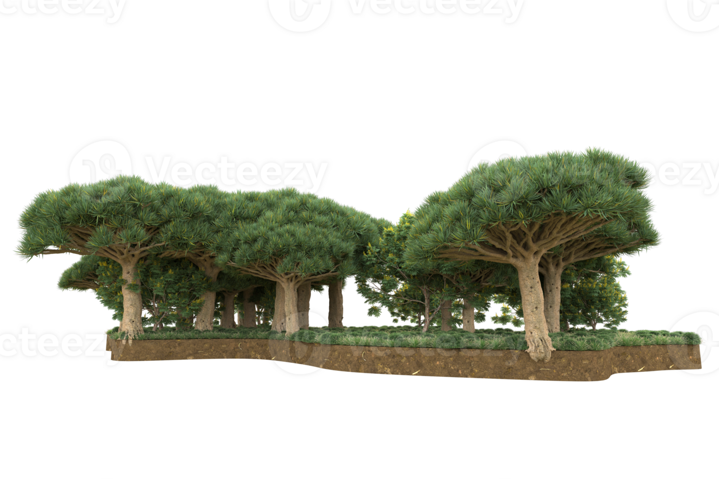 Realistic forest isolated on transparent background. 3d rendering - illustration png