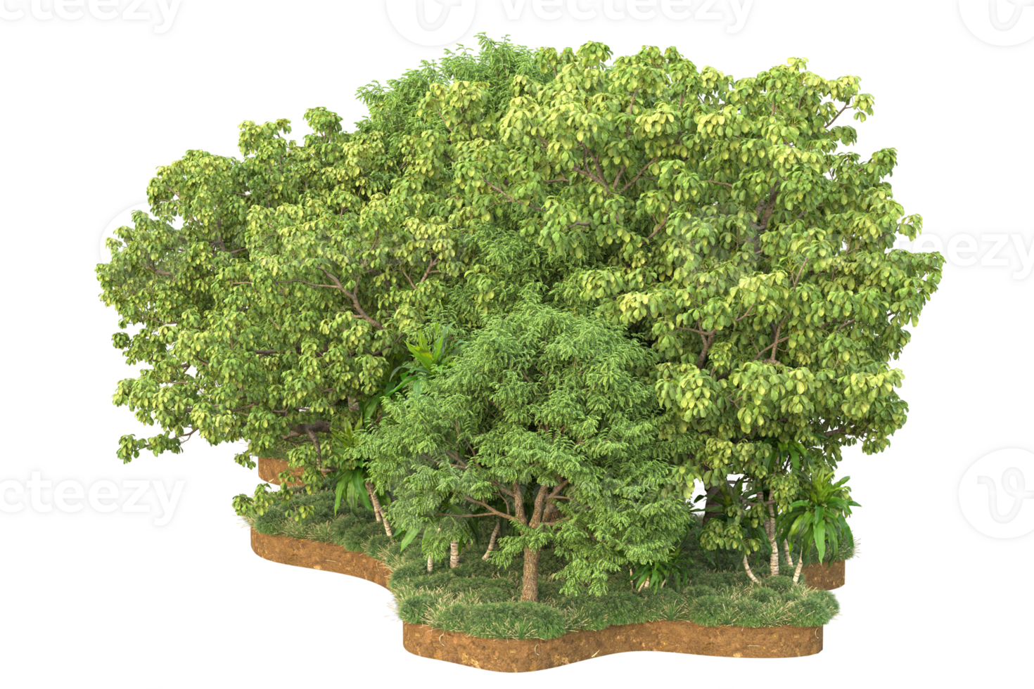 Realistic forest isolated on transparent background. 3d rendering - illustration png