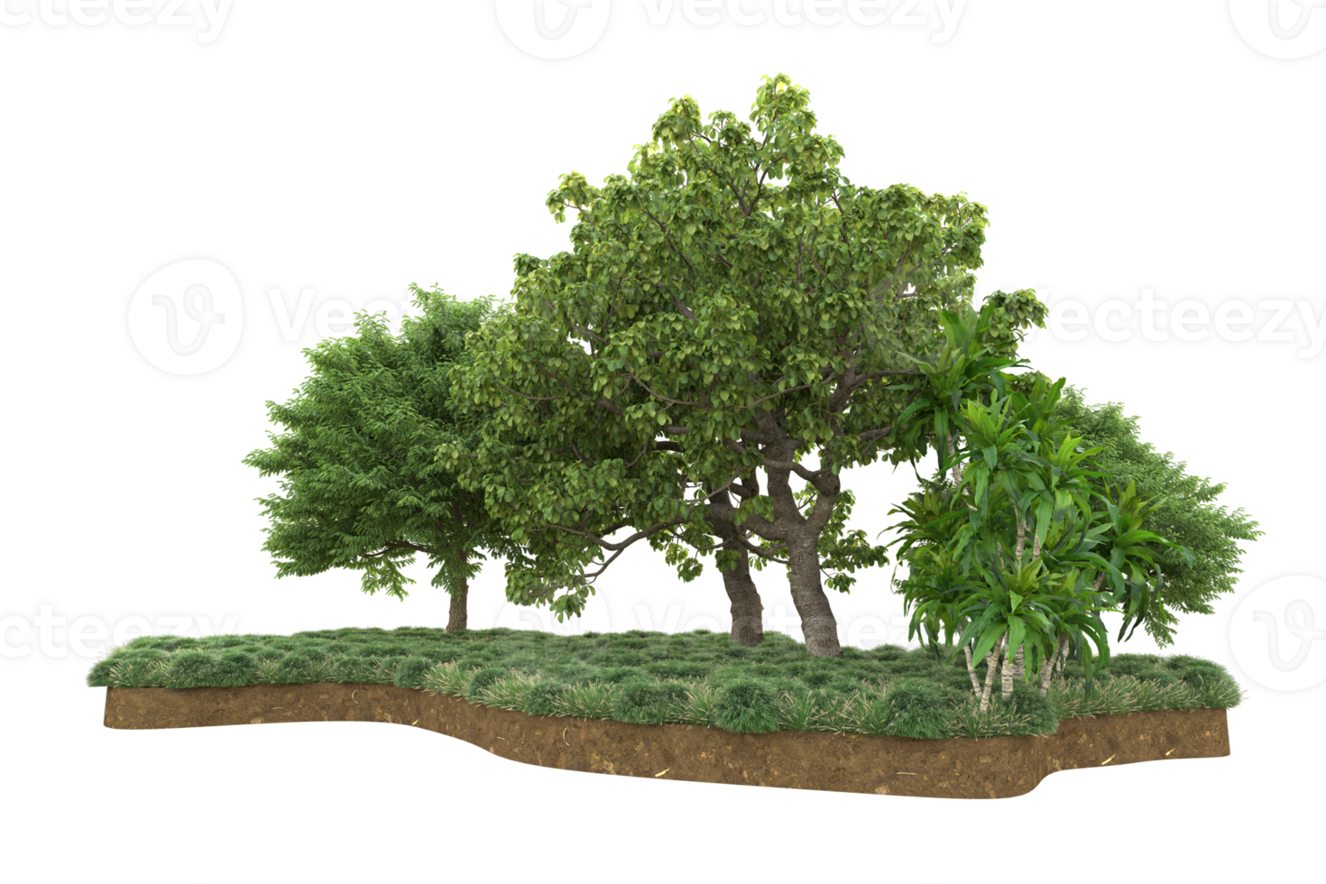 Realistic forest isolated on transparent background. 3d rendering - illustration png