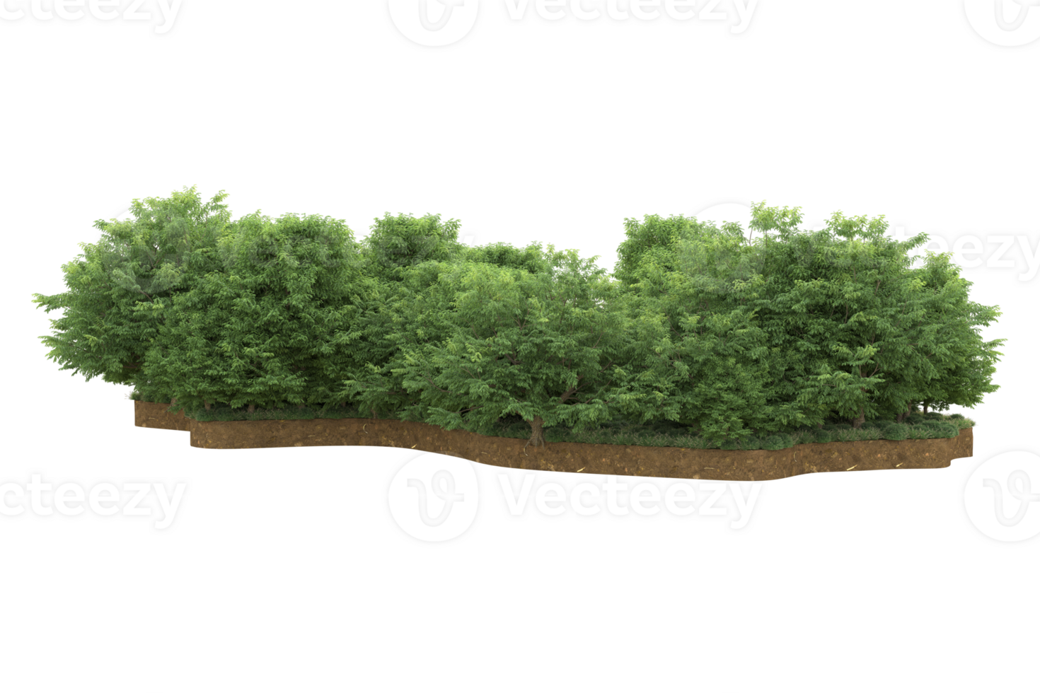 Realistic forest isolated on transparent background. 3d rendering - illustration png
