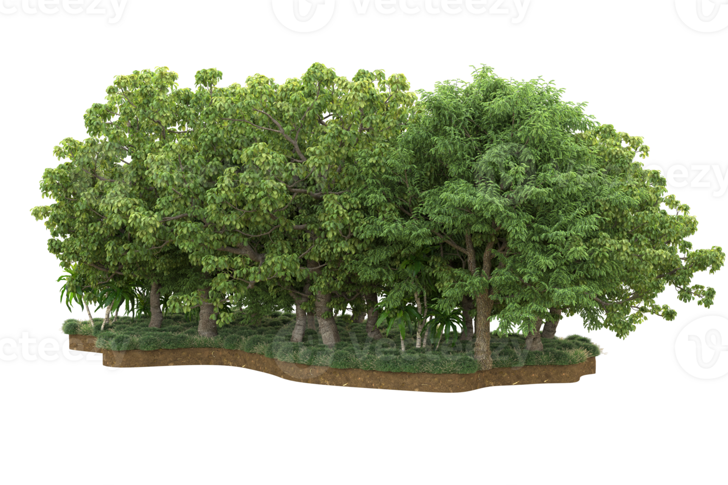 Realistic forest isolated on transparent background. 3d rendering - illustration png