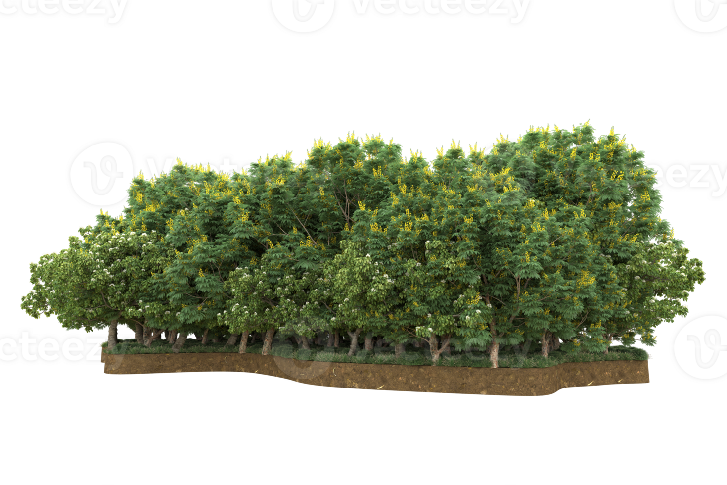 Realistic forest isolated on transparent background. 3d rendering - illustration png
