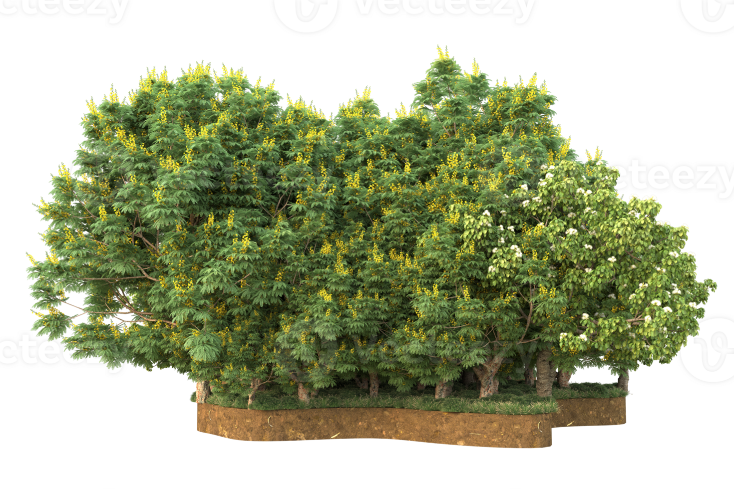 Realistic forest isolated on transparent background. 3d rendering - illustration png