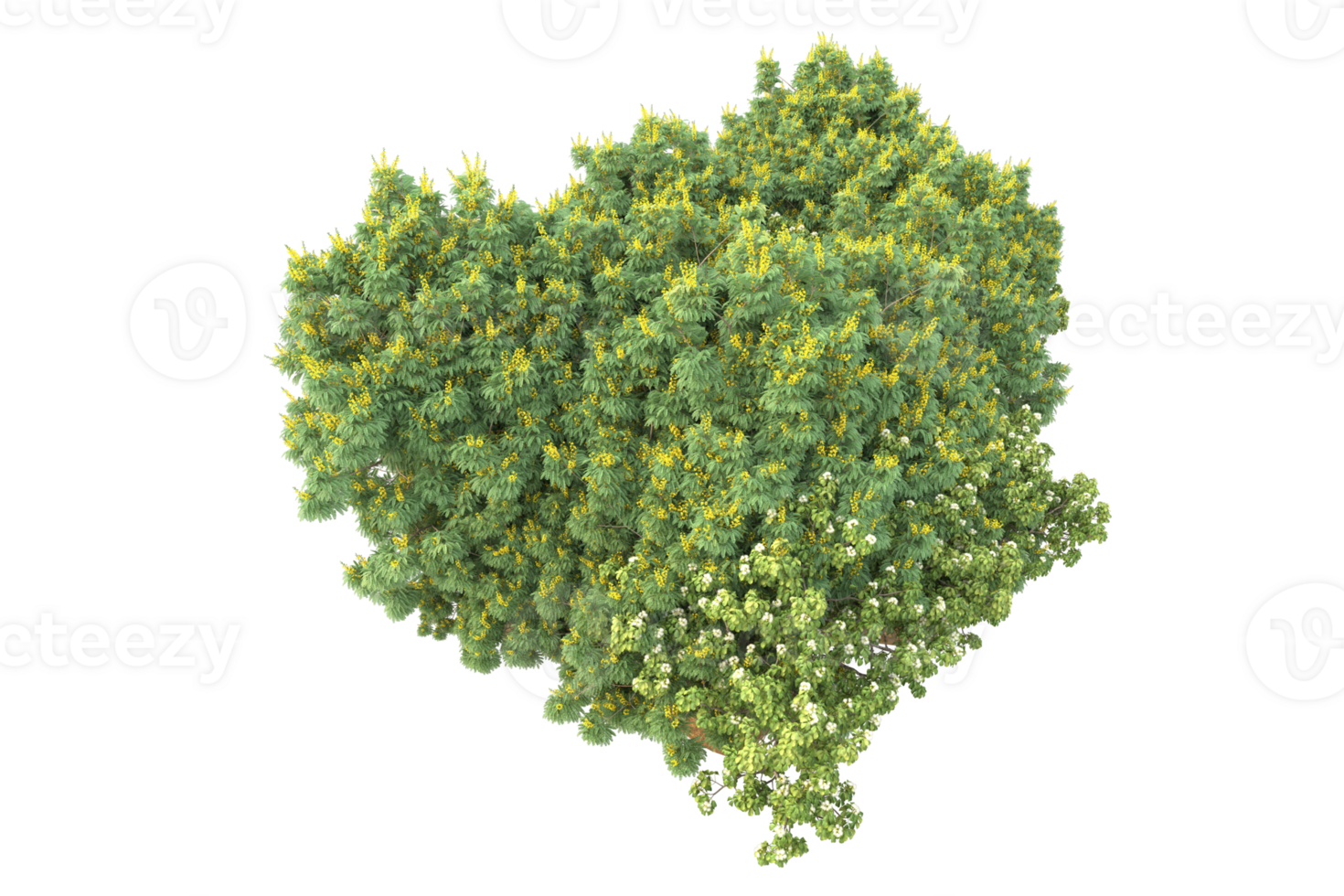 Realistic forest isolated on transparent background. 3d rendering - illustration png