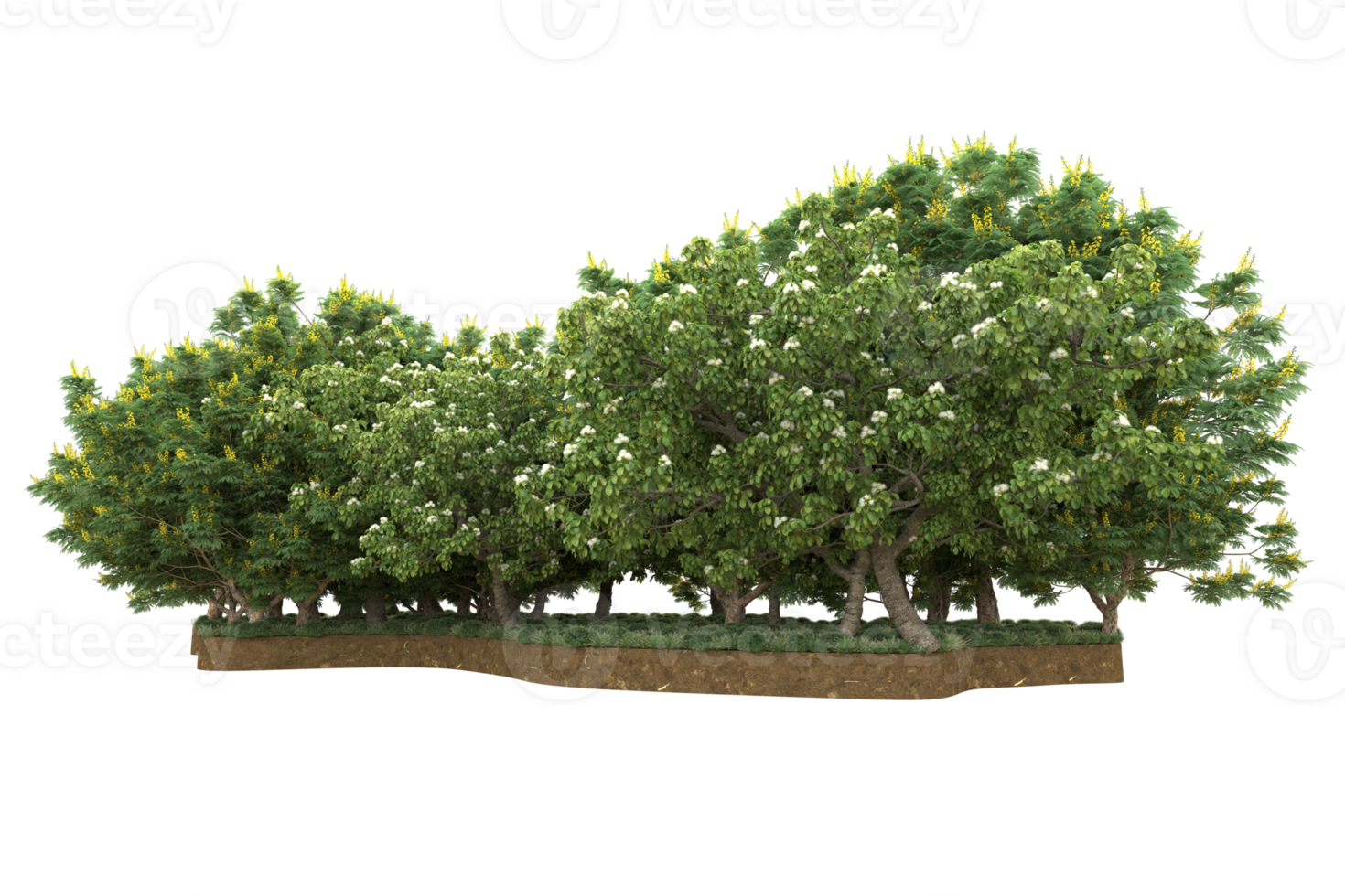 Realistic forest isolated on transparent background. 3d rendering - illustration png