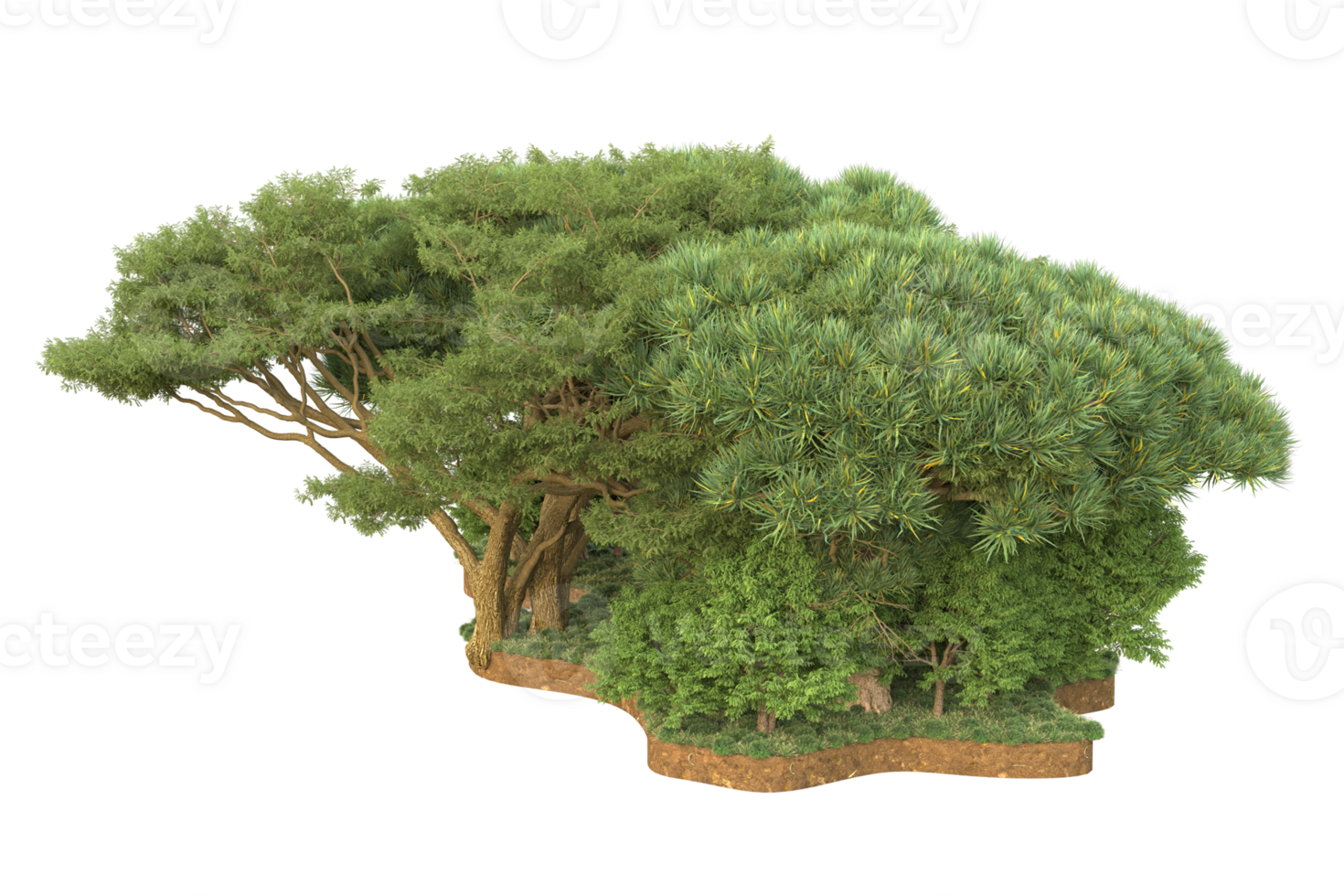 Realistic forest isolated on transparent background. 3d rendering - illustration png