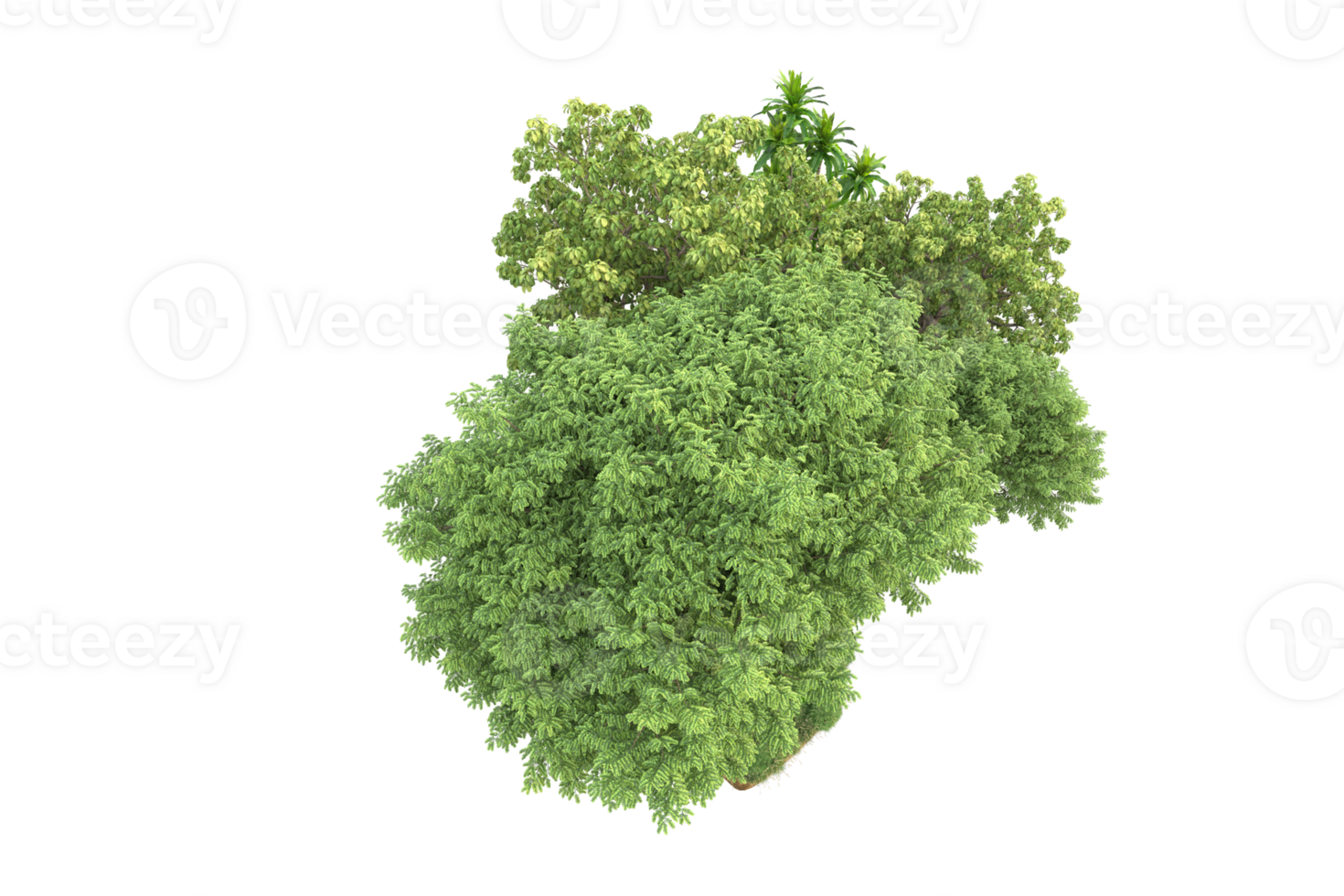 Realistic forest isolated on transparent background. 3d rendering - illustration png