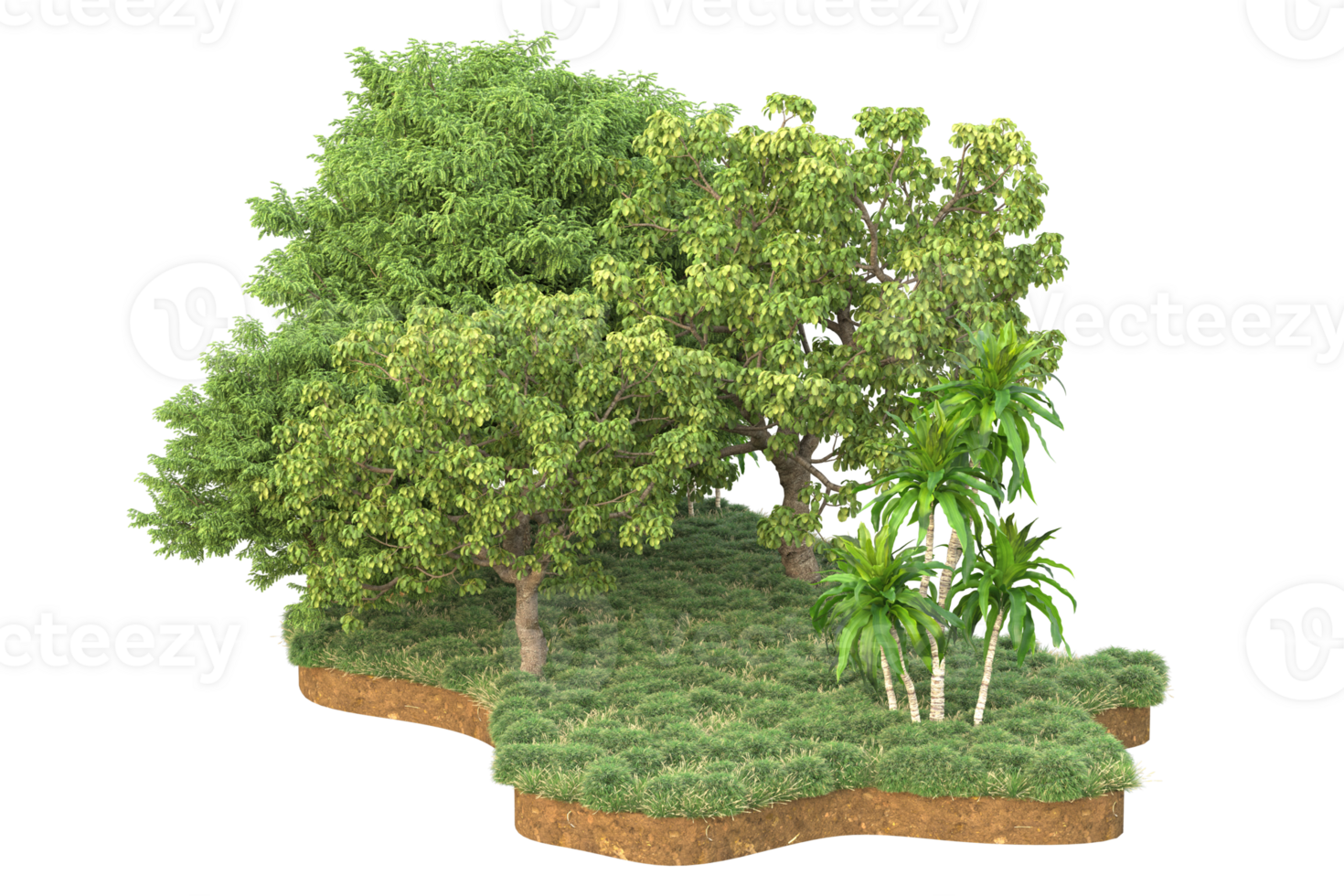 Realistic forest isolated on transparent background. 3d rendering - illustration png