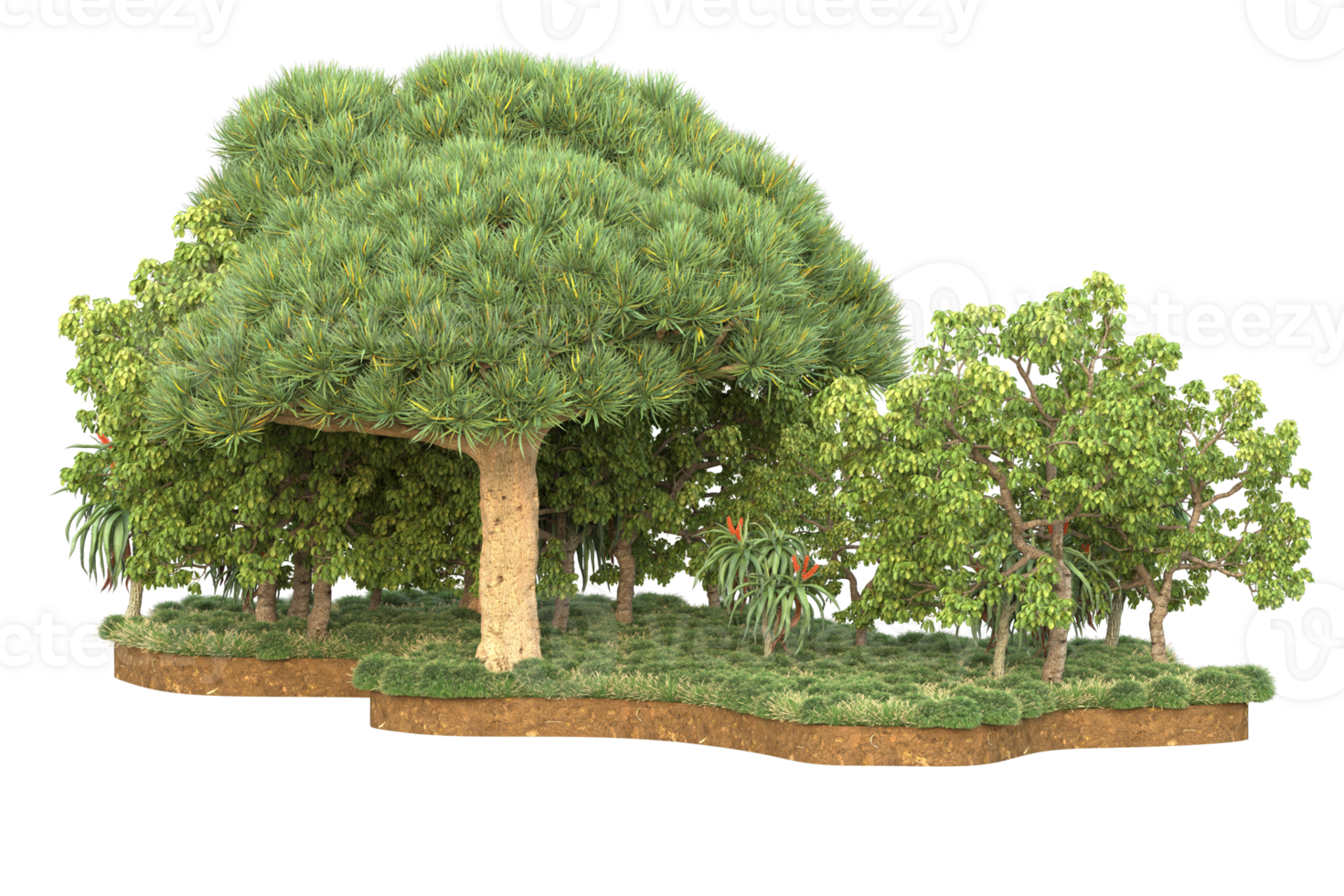 Realistic forest isolated on transparent background. 3d rendering - illustration png