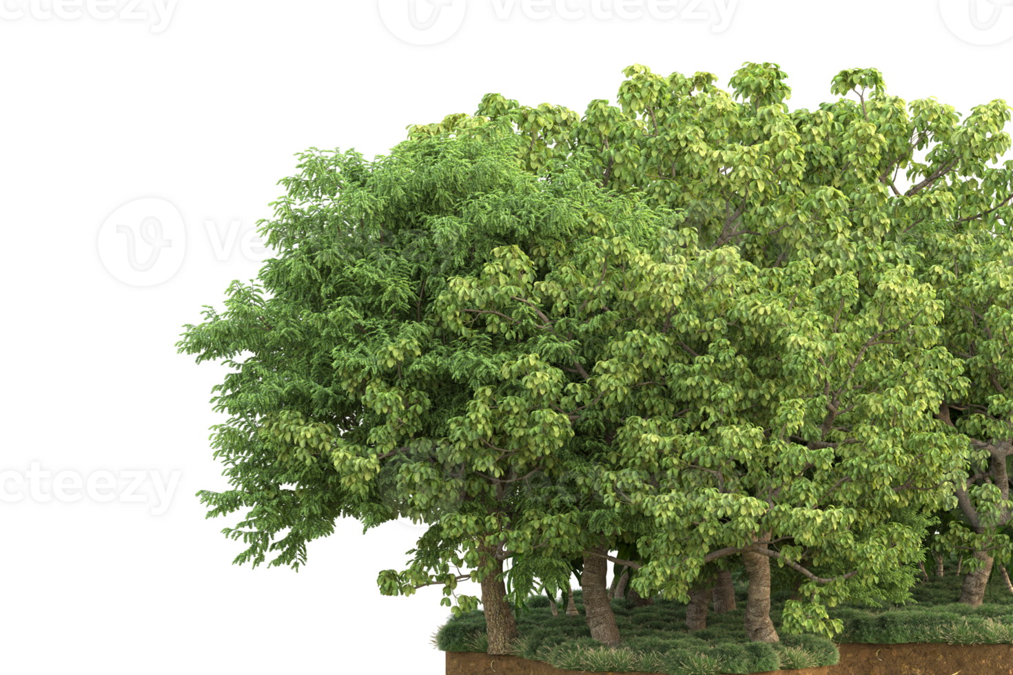 Realistic forest isolated on transparent background. 3d rendering - illustration png