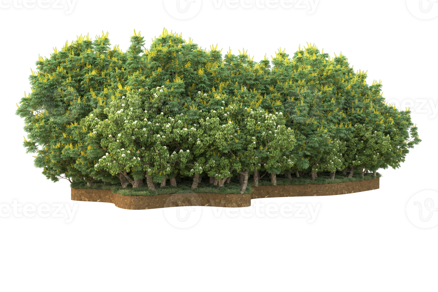 Realistic forest isolated on transparent background. 3d rendering - illustration png