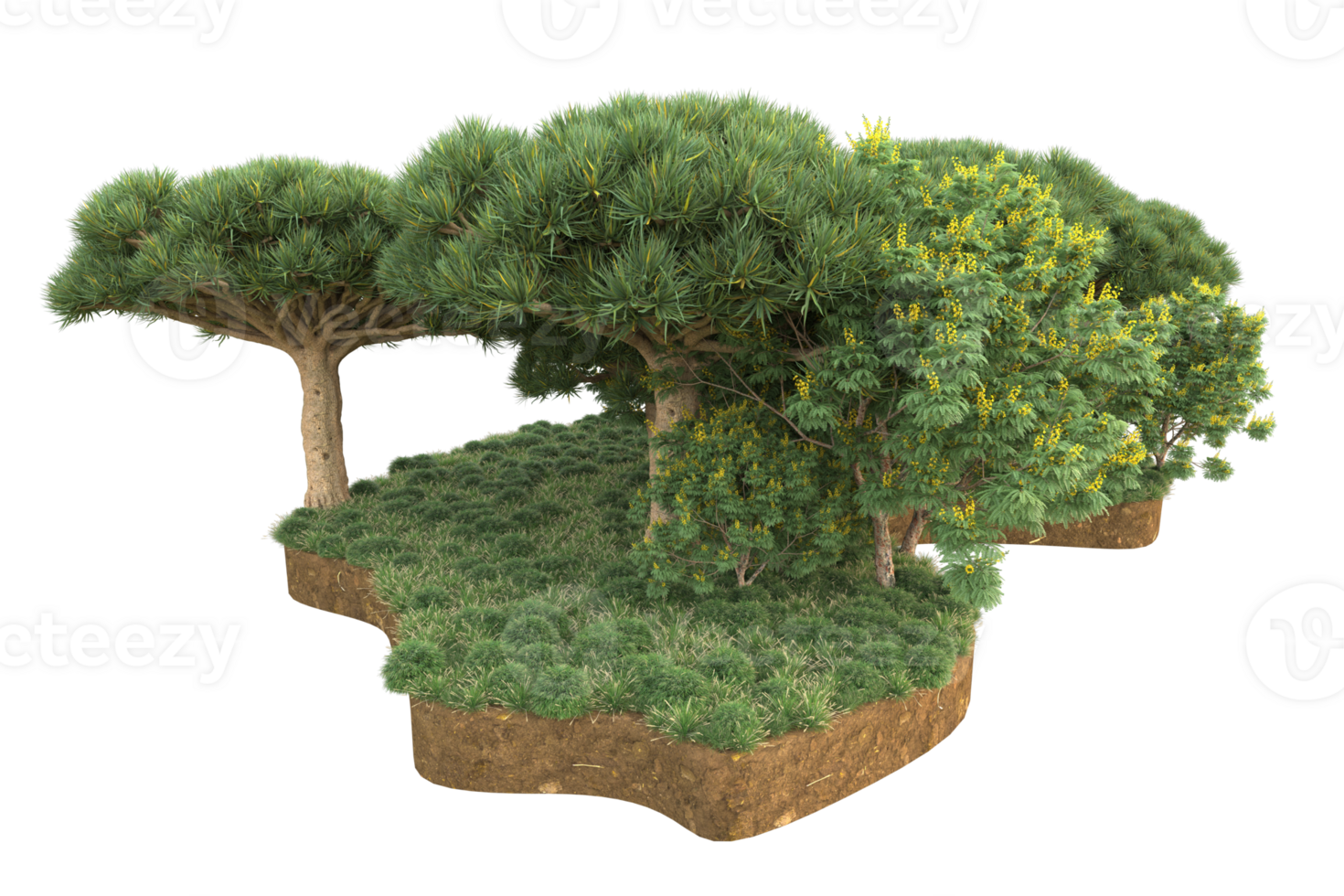 Realistic forest isolated on transparent background. 3d rendering - illustration png