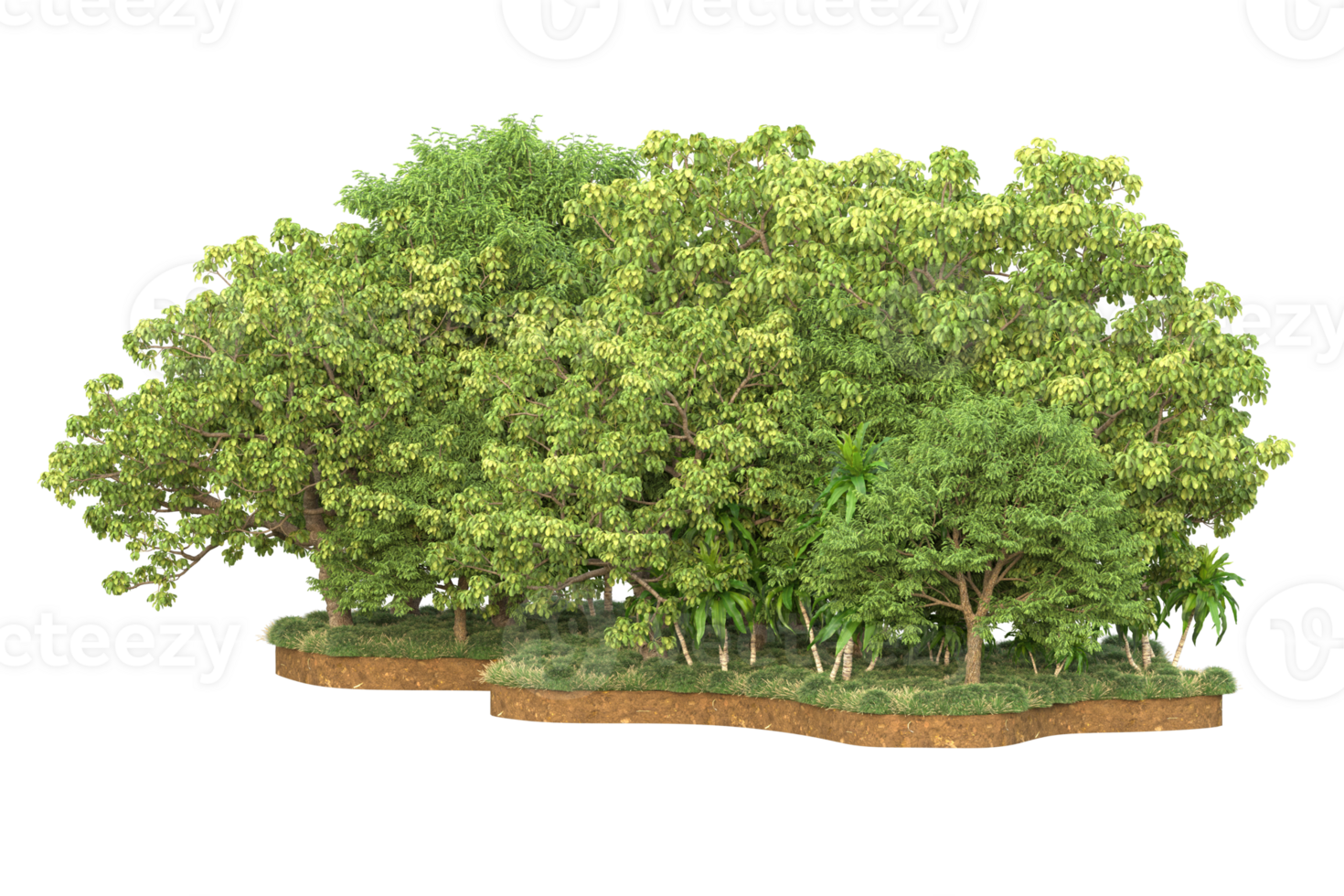 Realistic forest isolated on transparent background. 3d rendering - illustration png