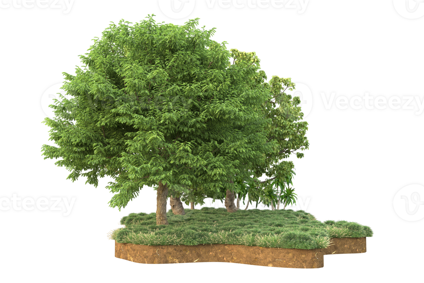 Realistic forest isolated on transparent background. 3d rendering - illustration png