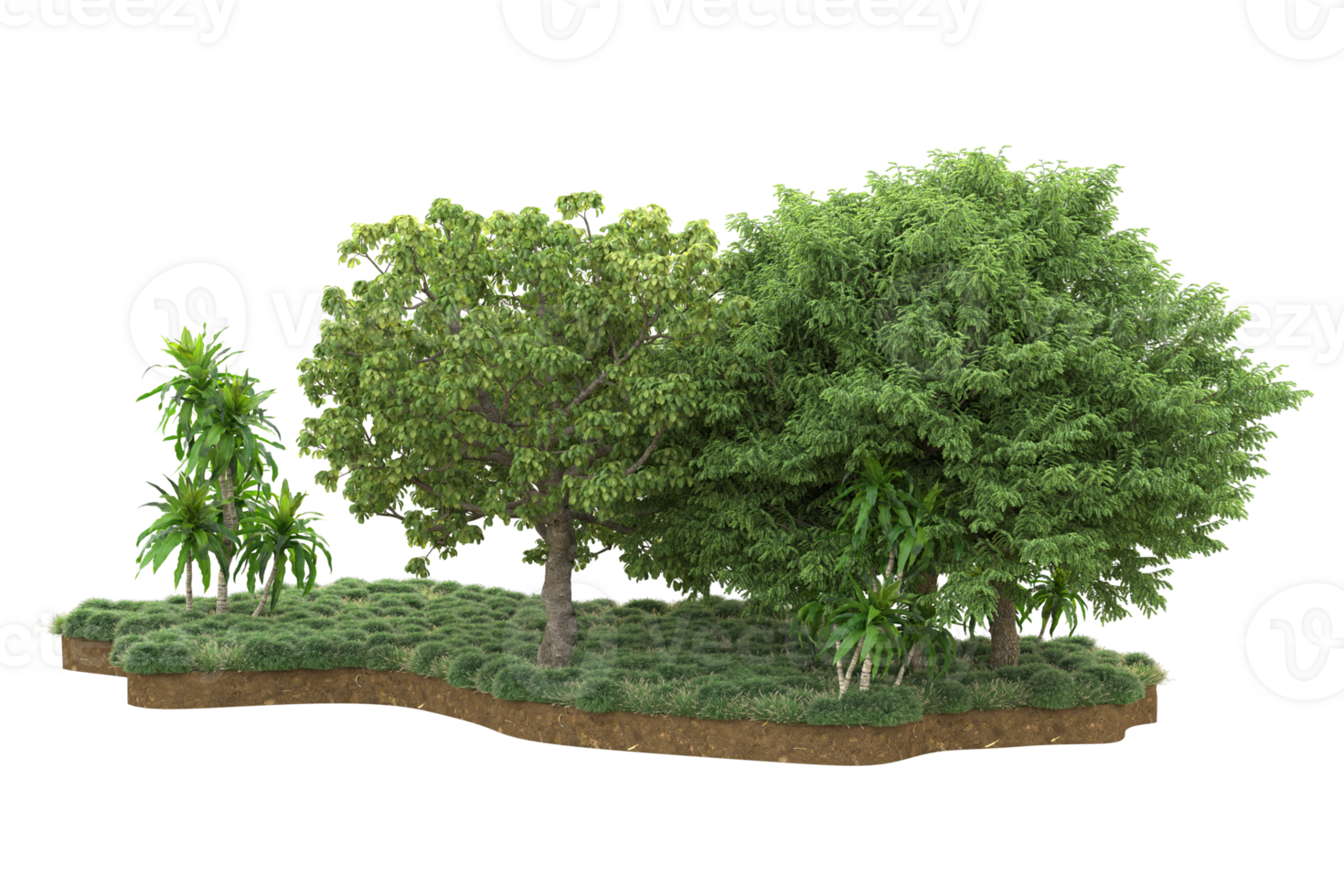 Realistic forest isolated on transparent background. 3d rendering - illustration png