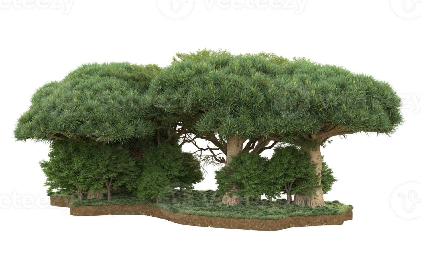 Realistic forest isolated on transparent background. 3d rendering - illustration png