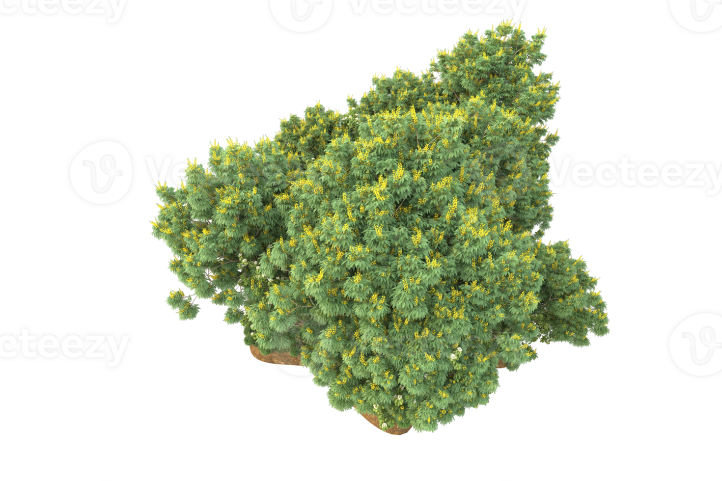 Realistic forest isolated on transparent background. 3d rendering - illustration png