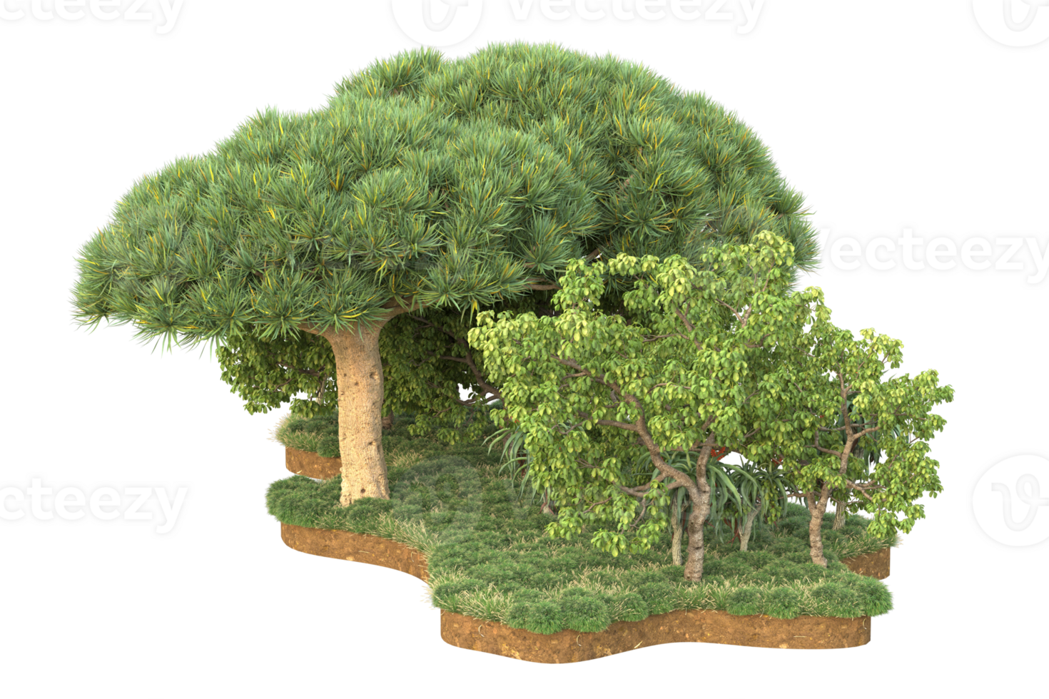 Realistic forest isolated on transparent background. 3d rendering - illustration png