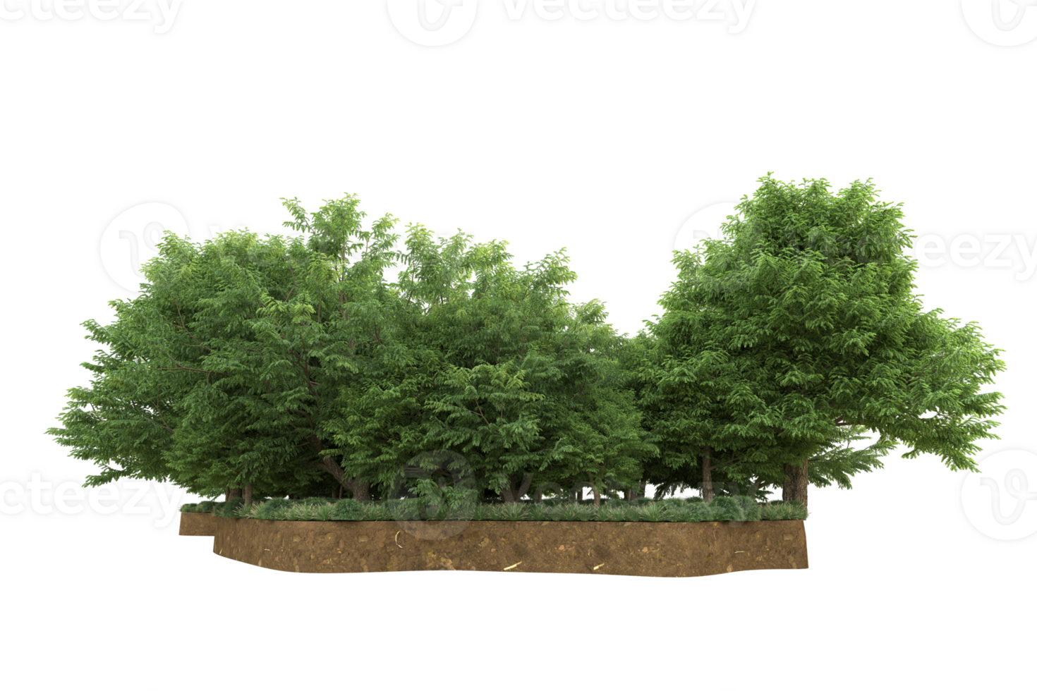 Realistic forest isolated on transparent background. 3d rendering - illustration png
