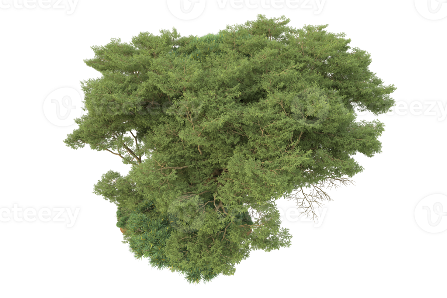 Realistic forest isolated on transparent background. 3d rendering - illustration png