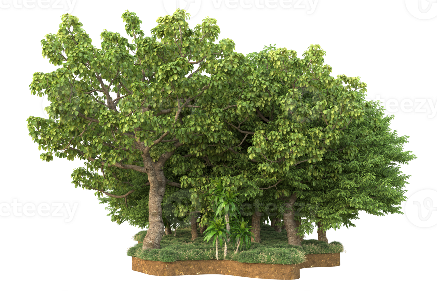 Realistic forest isolated on transparent background. 3d rendering - illustration png