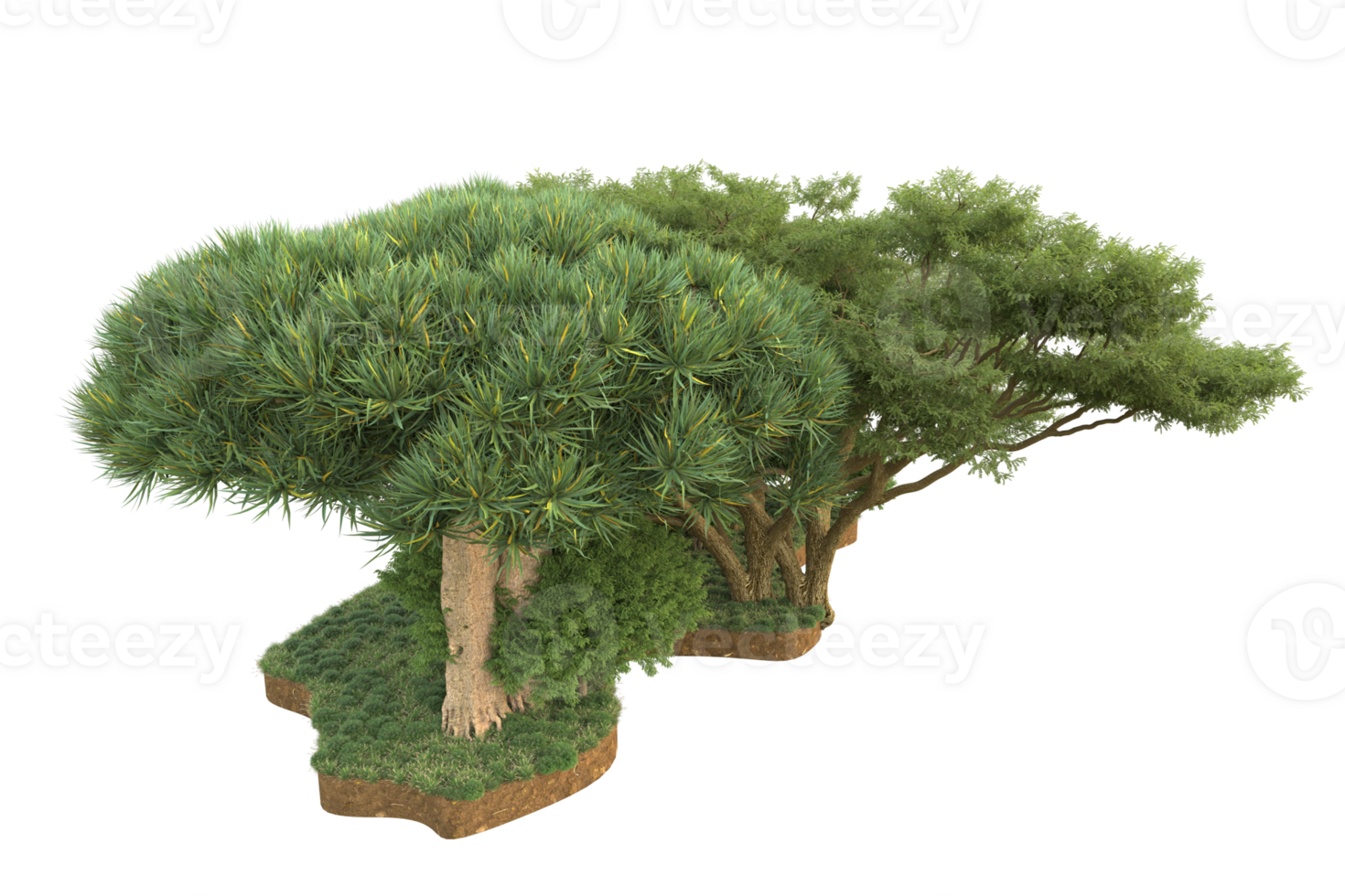 Realistic forest isolated on transparent background. 3d rendering - illustration png