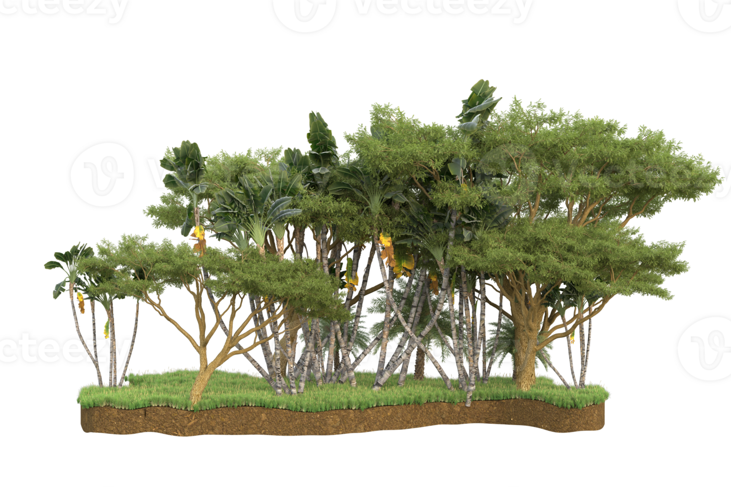Realistic forest isolated on transparent background. 3d rendering - illustration png