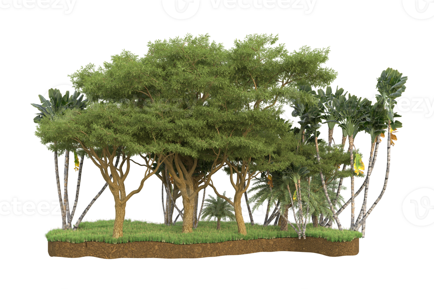 Realistic forest isolated on transparent background. 3d rendering - illustration png