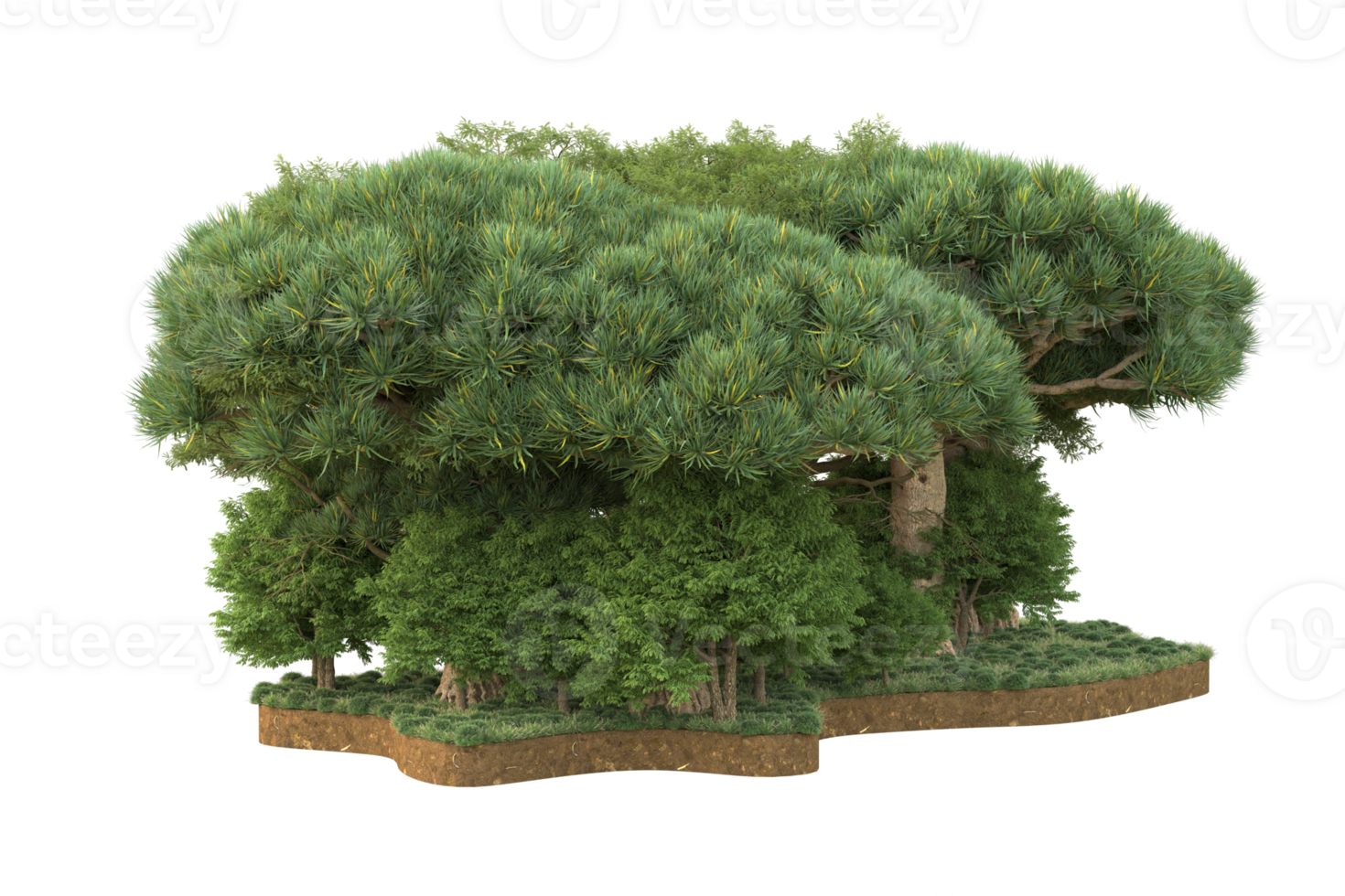Realistic forest isolated on transparent background. 3d rendering - illustration png