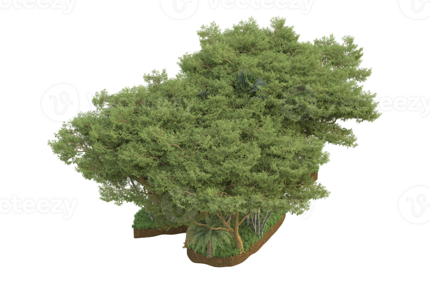 Realistic forest isolated on transparent background. 3d rendering - illustration png