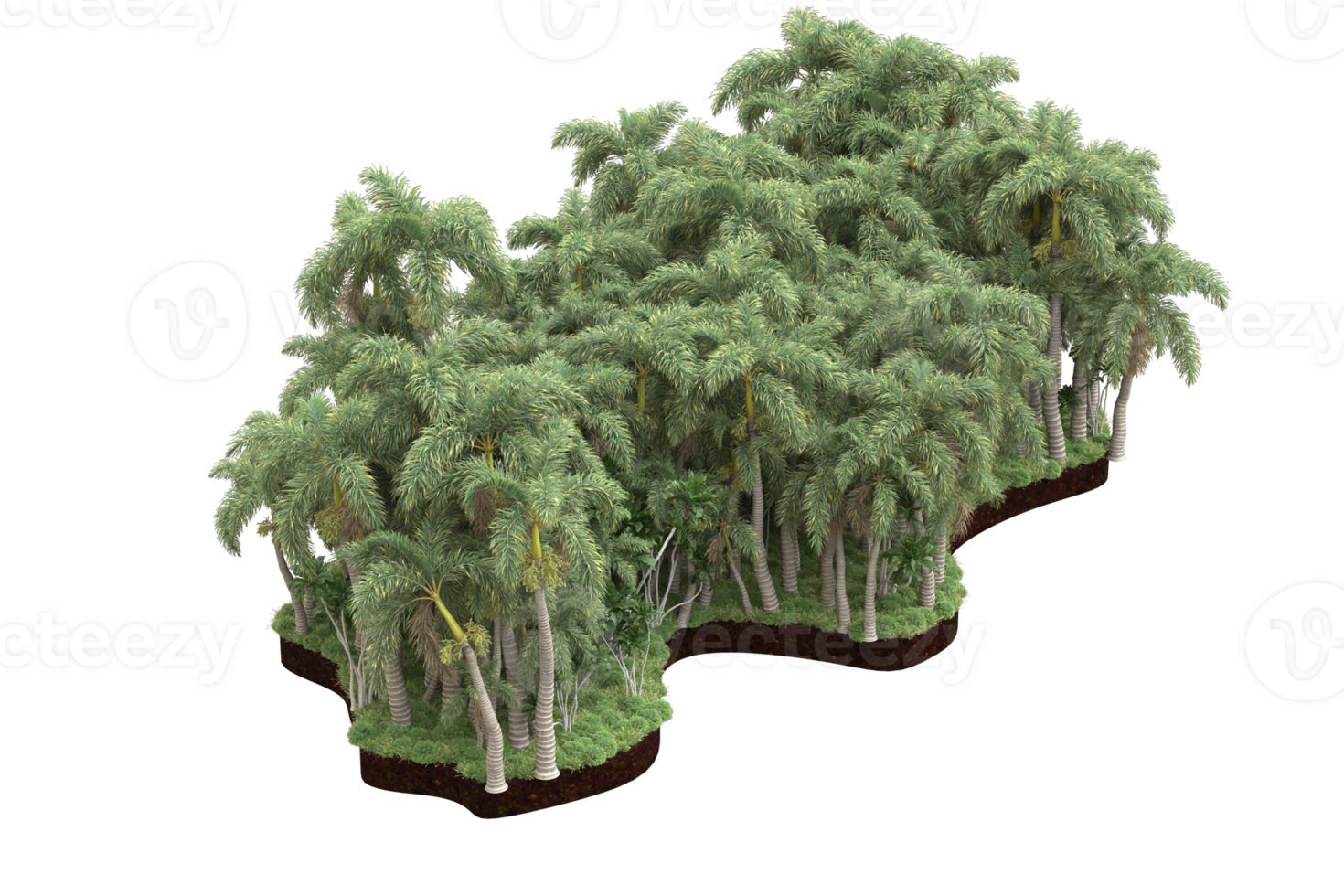 Realistic forest isolated on transparent background. 3d rendering - illustration png