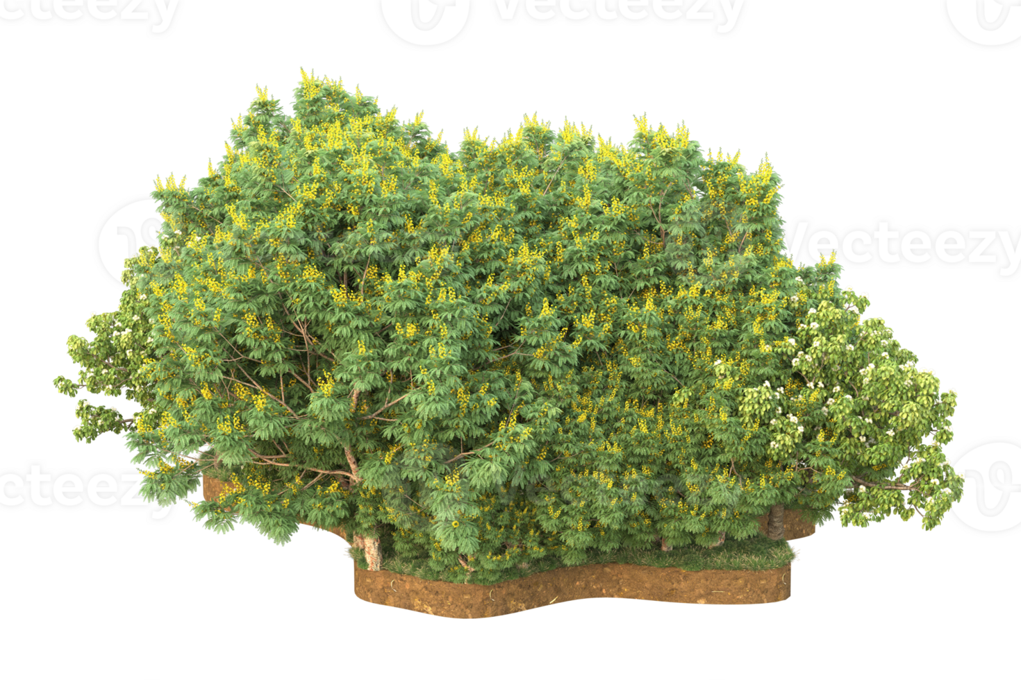 Realistic forest isolated on transparent background. 3d rendering - illustration png