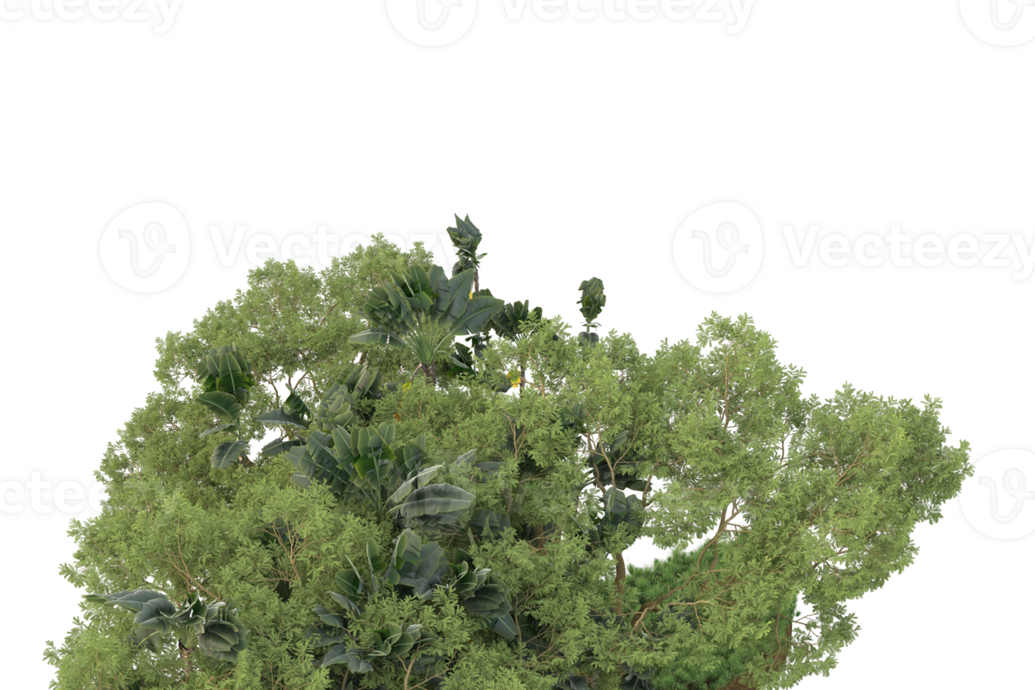 Realistic forest isolated on transparent background. 3d rendering - illustration png