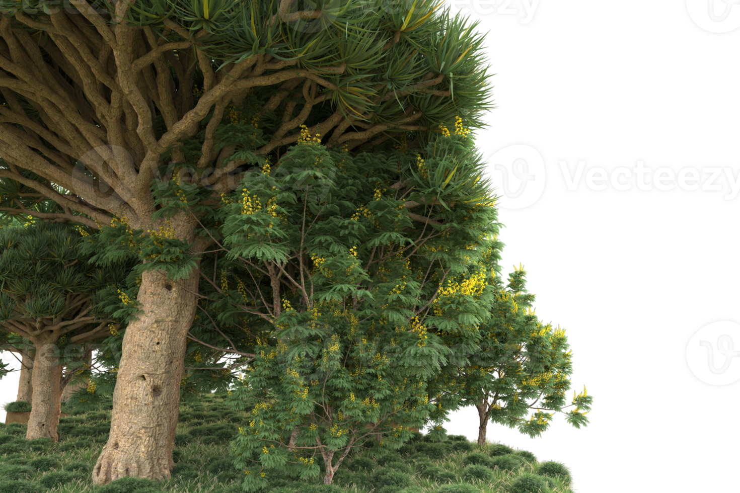 Realistic forest isolated on transparent background. 3d rendering - illustration png