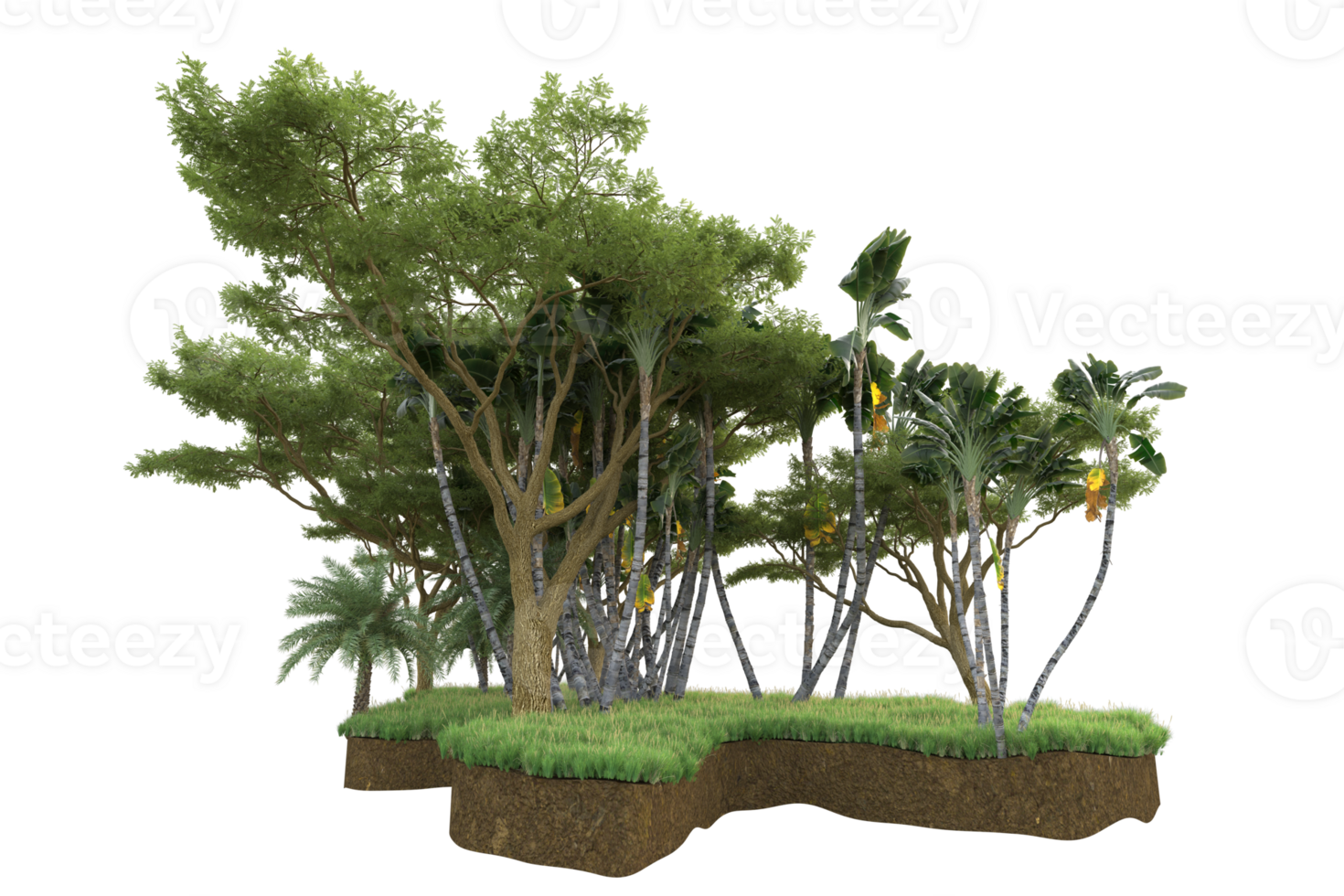 Realistic forest isolated on transparent background. 3d rendering - illustration png