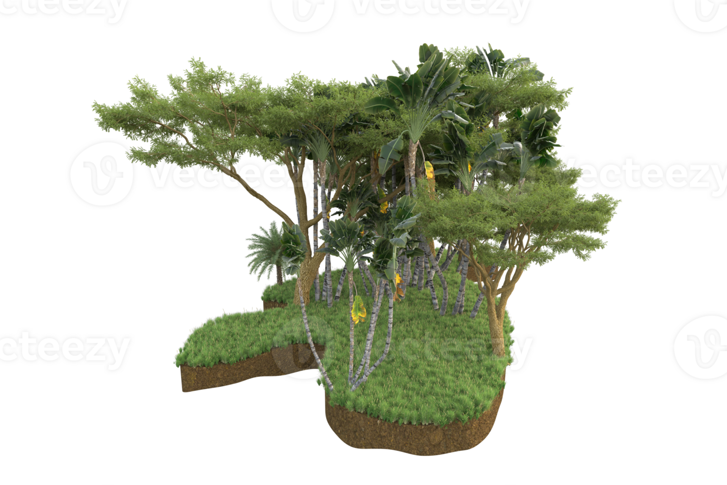 Realistic forest isolated on transparent background. 3d rendering - illustration png