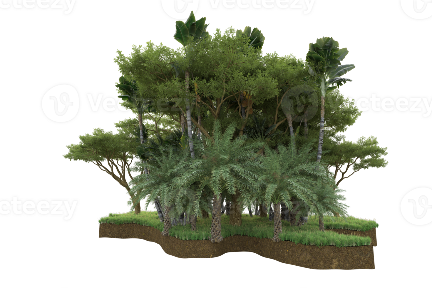 Realistic forest isolated on transparent background. 3d rendering - illustration png
