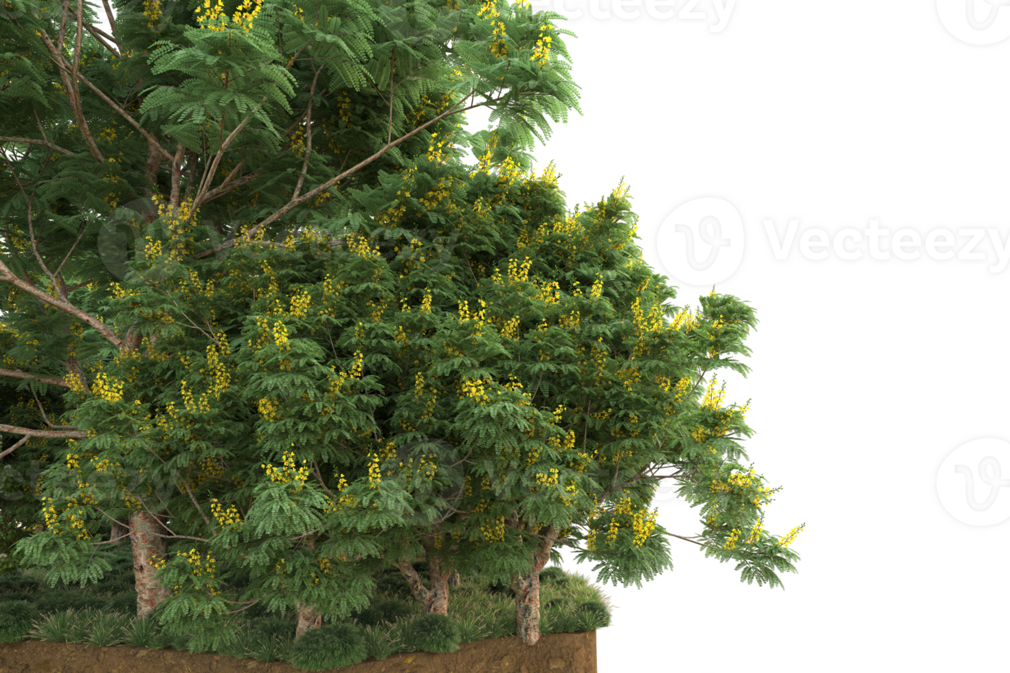 Realistic forest isolated on transparent background. 3d rendering - illustration png