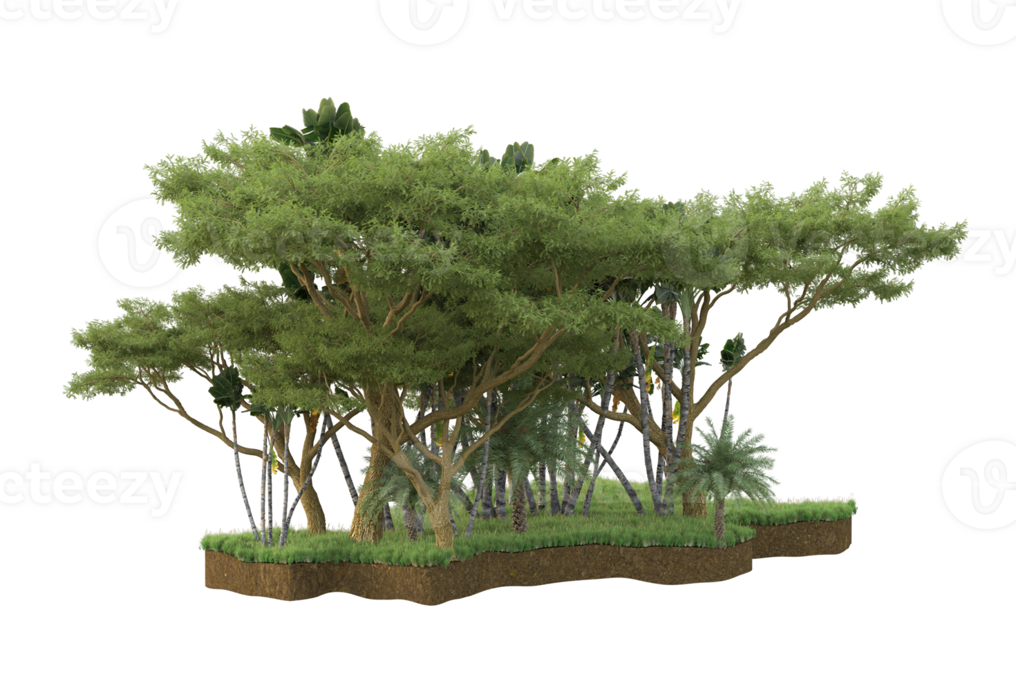 Realistic forest isolated on transparent background. 3d rendering - illustration png