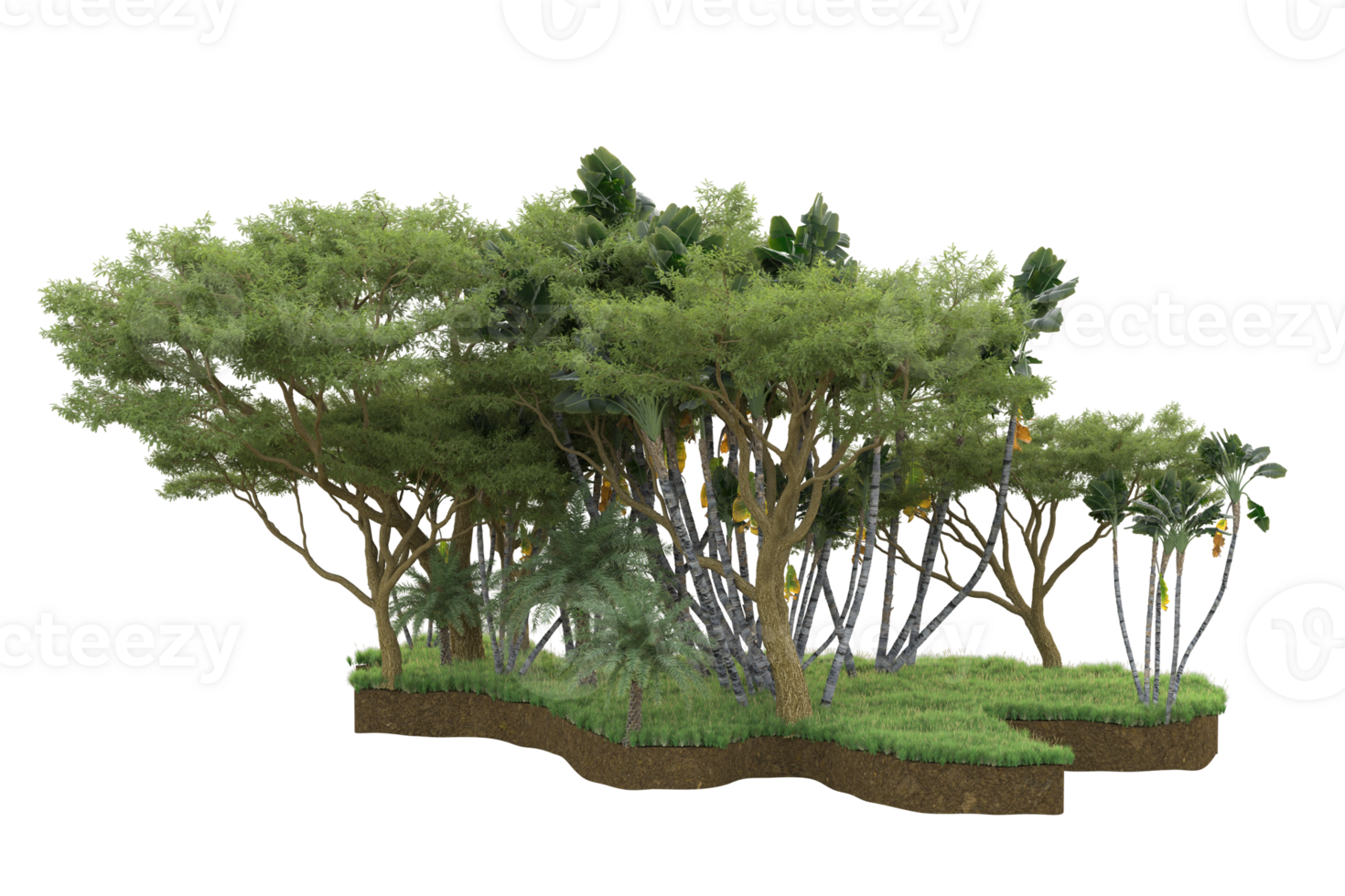 Realistic forest isolated on transparent background. 3d rendering - illustration png
