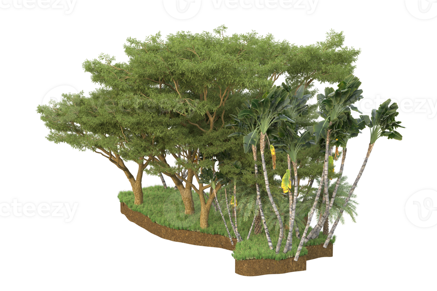 Realistic forest isolated on transparent background. 3d rendering - illustration png