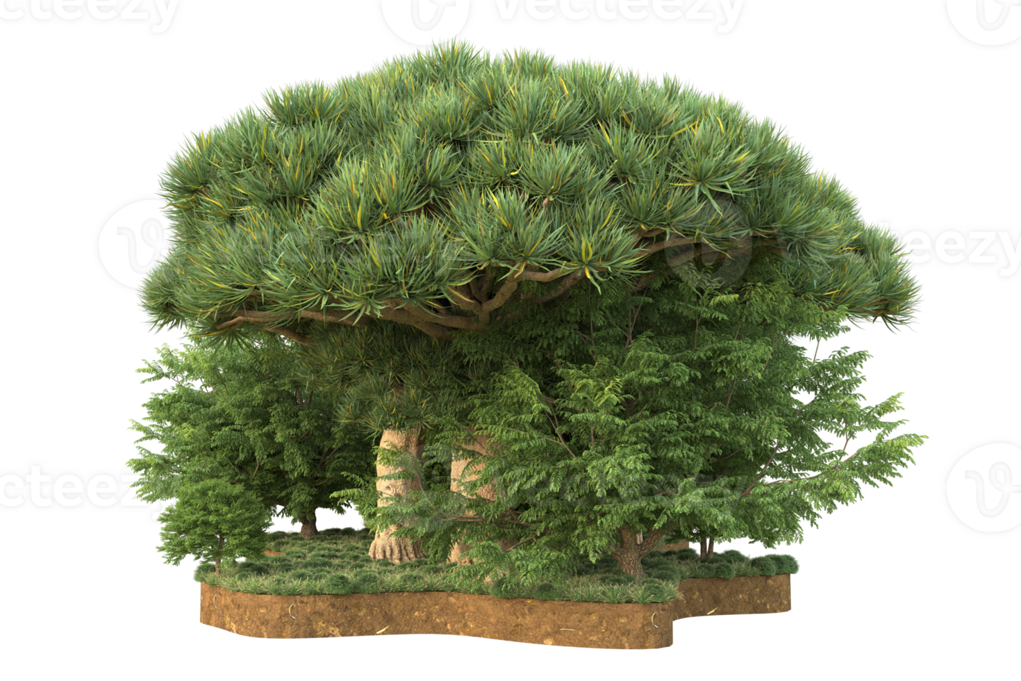 Realistic forest isolated on transparent background. 3d rendering - illustration png