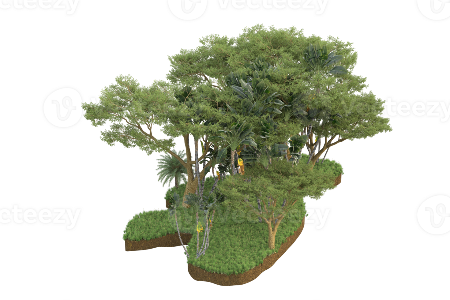 Realistic forest isolated on transparent background. 3d rendering - illustration png