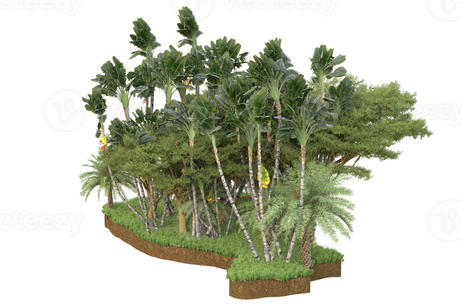 Realistic forest isolated on transparent background. 3d rendering - illustration png