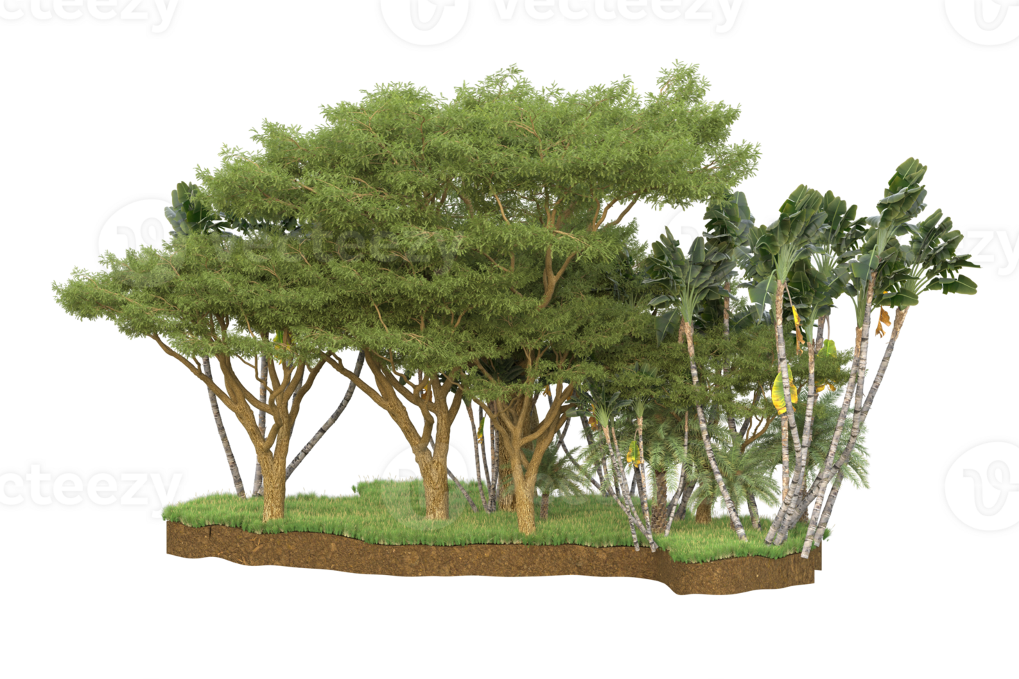 Realistic forest isolated on transparent background. 3d rendering - illustration png