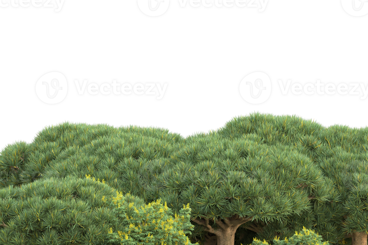 Realistic forest isolated on transparent background. 3d rendering - illustration png
