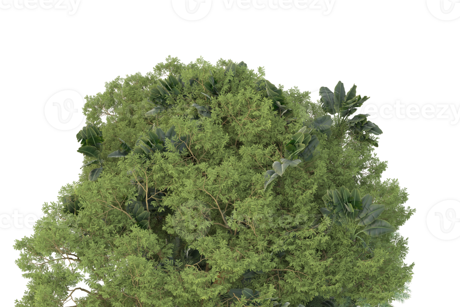 Realistic forest isolated on transparent background. 3d rendering - illustration png