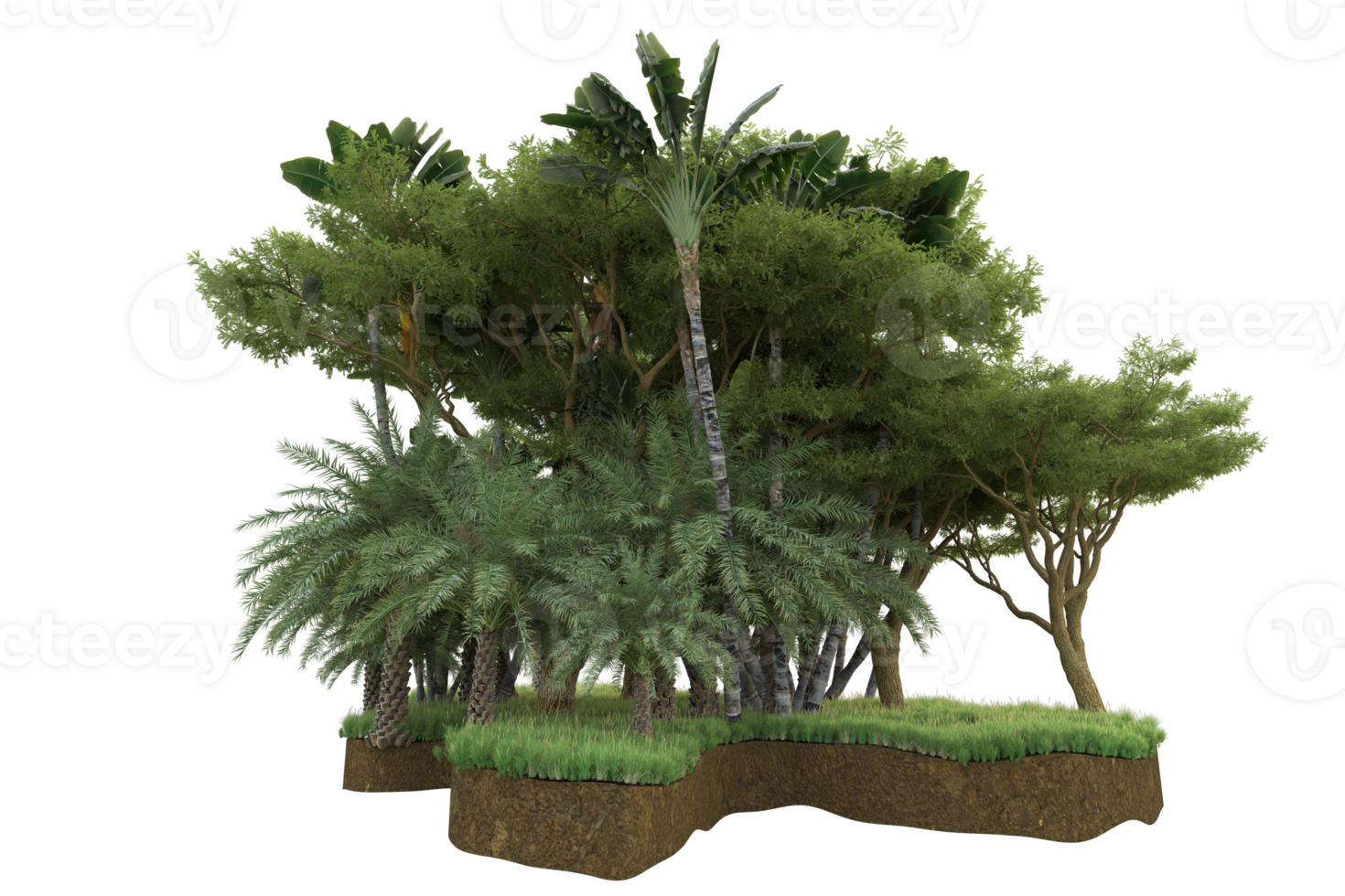 Realistic forest isolated on transparent background. 3d rendering - illustration png