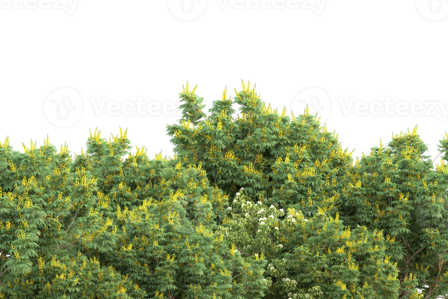Realistic forest isolated on transparent background. 3d rendering - illustration png