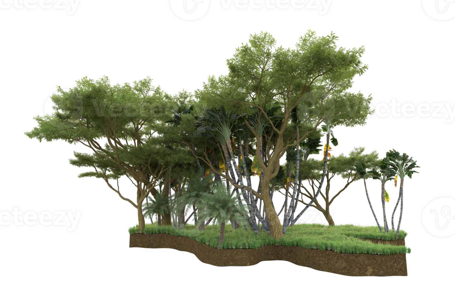 Realistic forest isolated on transparent background. 3d rendering - illustration png